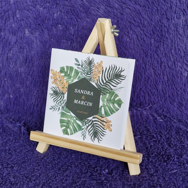 Monstera_1_front_kwadrat